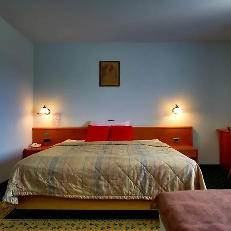 Hotel Grandvid